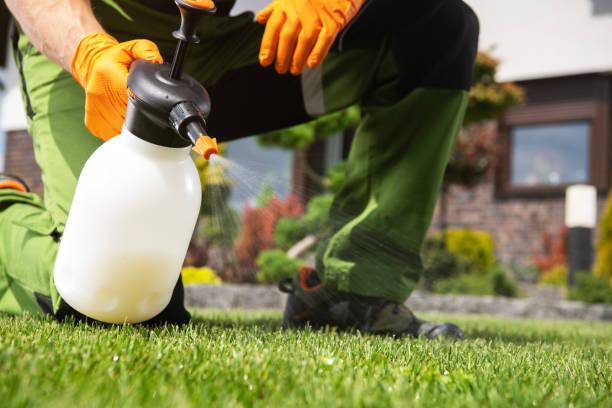 Best Flea Control Services  in Union, OR