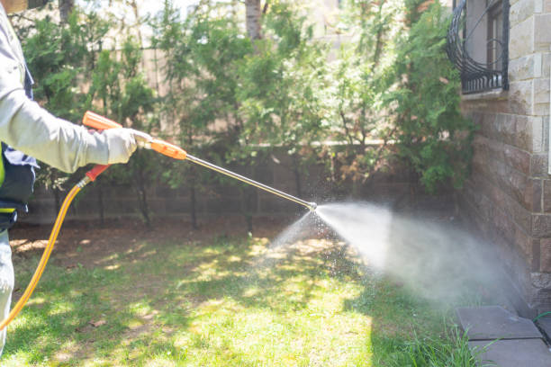 Best Pest Prevention Services  in Union, OR