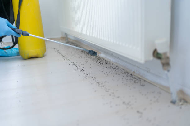 Best Pest Control Near Me in Union, OR