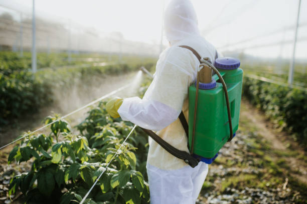 Best Affordable Exterminators  in Union, OR